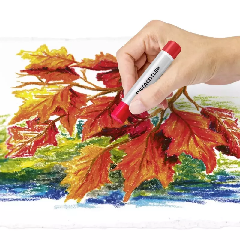 Spalvoti pieštukai Staedtler 2420 12 vnt.