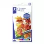 Spalvoti pieštukai Staedtler 2420 12 vnt.
