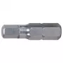 KS Tools 910.2259 Šešiakampis antgalis suktuvui, nerūdijantis plienas, 25 mm
