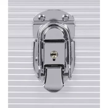 Hama 00181435 dėklas vinilinėms plokštelėms Microgroove sidabrinis