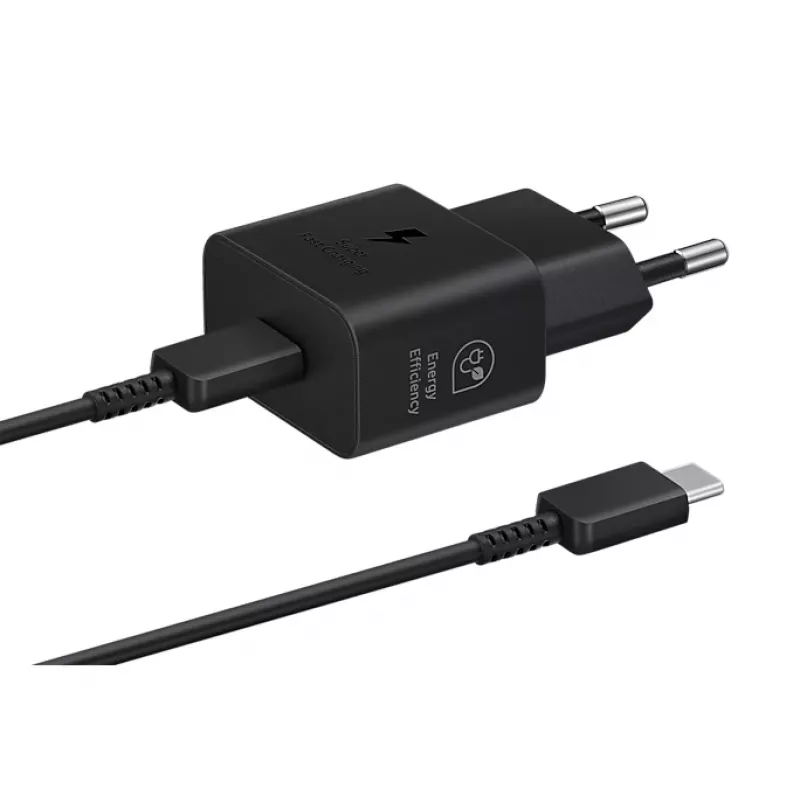 Samsung EP-T2510XBEGWW juodas 25 W maitinimo adapteris