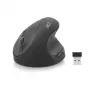 Pelytė ACT Wireless Ergonomic Mouse AC5101 1600 DPI RF belaidė