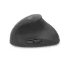 Pelytė ACT Wireless Ergonomic Mouse AC5101 1600 DPI RF belaidė
