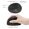 Pelytė ACT Wireless Ergonomic Mouse AC5101 1600 DPI RF belaidė