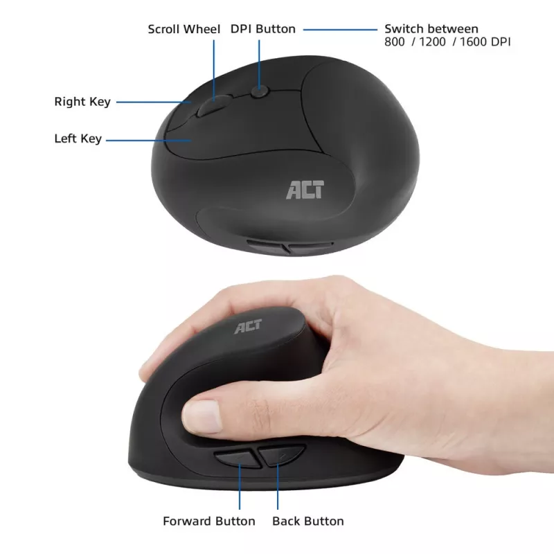 Pelytė ACT Wireless Ergonomic Mouse AC5101 1600 DPI RF belaidė