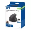 Pelytė ACT Wireless Ergonomic Mouse AC5101 1600 DPI RF belaidė