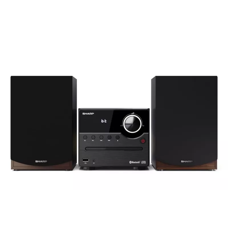 Sharp XL-B512(BR) namų garso mikro sistema 45 W, ruda