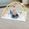 Fisher-Price Sensimals Simply Senses naujagimio kilimėlis su 6 sensoriniais žaislais