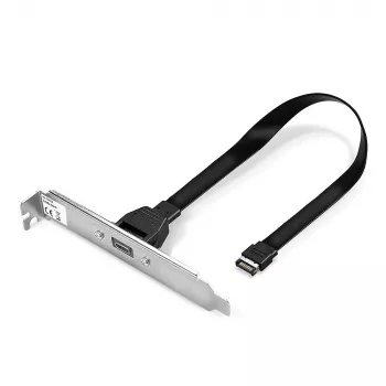 Lindy Single Port USB 3.1 Gen 2 Type C galinė plokštė, 0.45 m, USB A, kištukas, kištukas