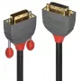 Lindy 2 m DVI-D Dual Link ilginimo laidas, Anthra Line