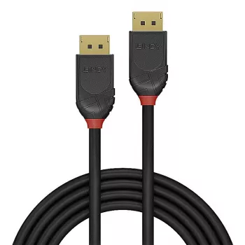 Lindy 36516 DisplayPort kabelis 1 m Juoda