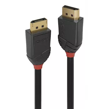 Lindy 36519 DisplayPort kabelis 5 m Juodas