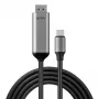 Lindy 43504 USB Type-C į DisplayPort laidų adapteris 2 m Pilka