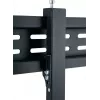 Signalinio ekrano laikiklis Reflecta 23175 152,4 cm 60 colių juodas