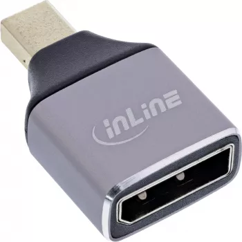 InLine 17291C lyties keitiklis DisplayPort Mini DisplayPort Pilka, Juoda
