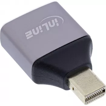 InLine 17291C lyties keitiklis DisplayPort Mini DisplayPort Pilka, Juoda