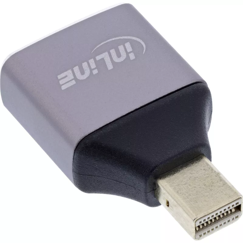 InLine 17291C lyties keitiklis DisplayPort Mini DisplayPort Pilka, Juoda