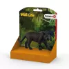 Schleich WILD LIFE Juodoji pantera