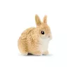 Triušio namelis schleich FARM WORLD, ūkio gyvūnai, 3+ metai, įvairiaspalvis, plastikas