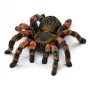 Schleich WILD LIFE Tarantula figūrėlė