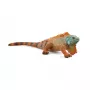 Schleich WILD LIFE Iguana figūrėlė, įvairiaspalvė, 14854, rekomenduojamas amžius nuo 3 metų