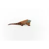 Schleich WILD LIFE Iguana figūrėlė, įvairiaspalvė, 14854, rekomenduojamas amžius nuo 3 metų