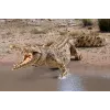 schleich WILD LIFE Krokodilas
