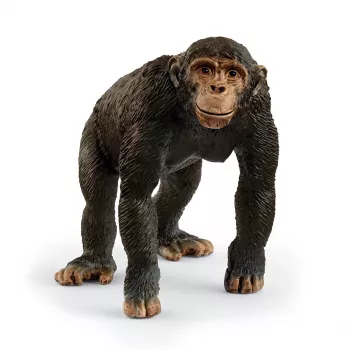 Schleich WILD LIFE Šimpanzė, 3 m., Įvairiaspalvis