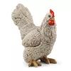schleich FARM WORLD Mobilus vištidės komplektas