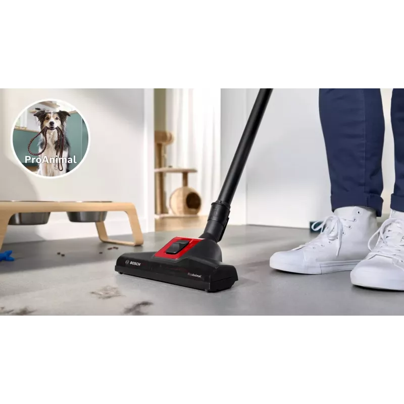 Bosch BGB41PET1 dulkių siurblys 4 L Cilindrinis sausas 700 W su maišeliu