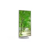 Sharp MultiSync EA272U 27 colių 4K Ultra HD LCD monitorius baltas