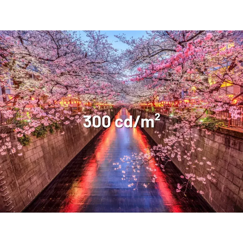 Monitorius JAPANNEXT JN-I238FHD120F-HSP-YE 23,8 col. Full HD IPS 120 Hz geltonas