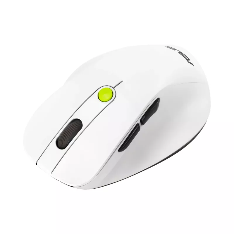 Pelė ASUS MD105 /VT-GN — dešinei rankai RF belaidė + Bluetooth, 2400 DPI, slinkties ratukas, maitinama baterijomis, balta/žalia