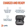 HP Poly Voyager Free 60 UC Carbon Black belaidės ausinės + BT700 USB-C adapteris + įkrovimo dėklas