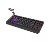 GENESIS Thor 230 TKL klaviatūra žaidimams USB + RF belaidis + Bluetooth QWERTY Juoda