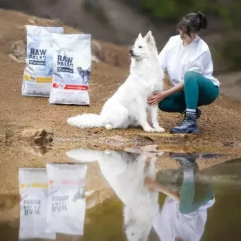Sausas šunų maistas VETEXPERT RAW PALEO Ultra vidutinių ir didelių veislių suaugusiems kalakutiena — 2 kg, be grūdų, baltymai 24,5%, riebalai 14%