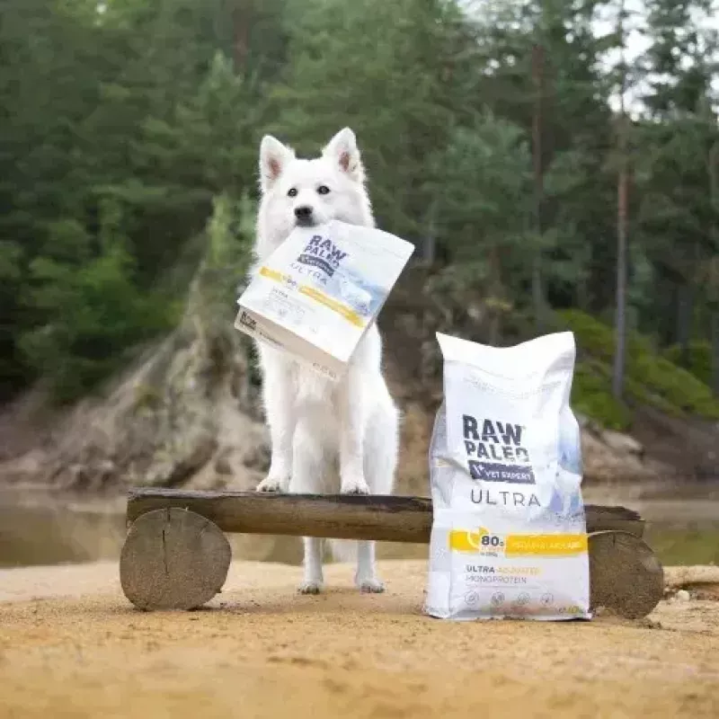 VetExpert Raw Paleo Ultra Medium & Large Adult kalakutienos granulės šunims 2 kg