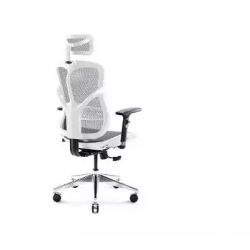 Ergonominė biuro kėdė Diablo Chairs V-Basic balta-pilka