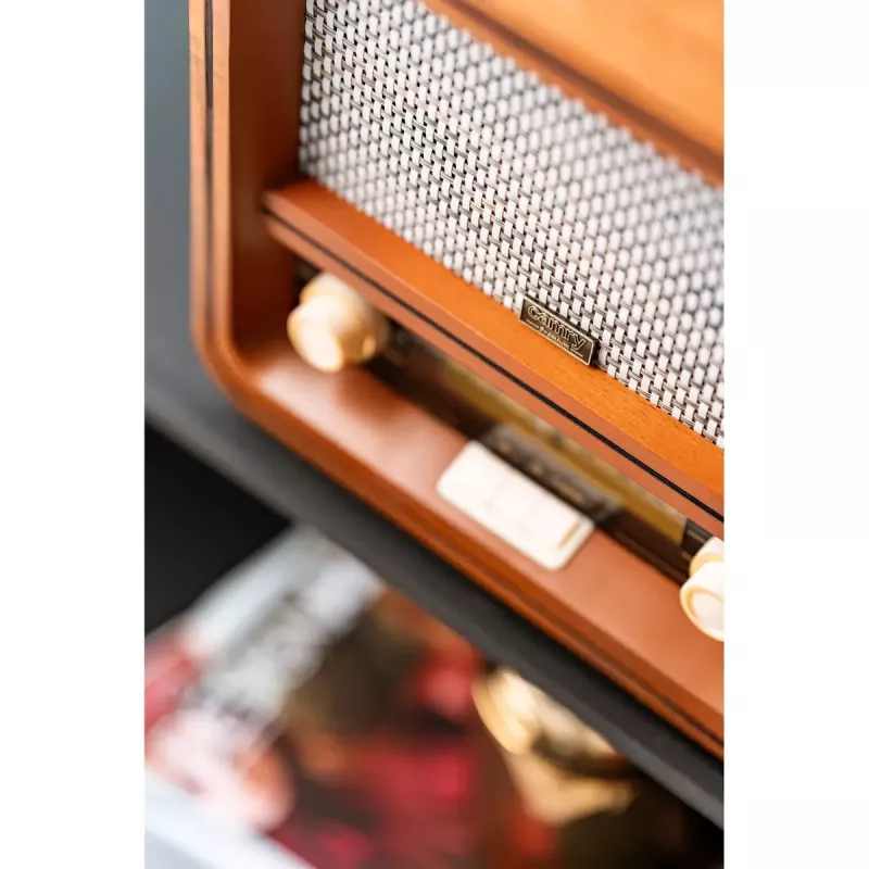 Radijo imtuvas Camry Premium CR 1188