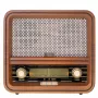 Radijo imtuvas Camry Premium CR 1188