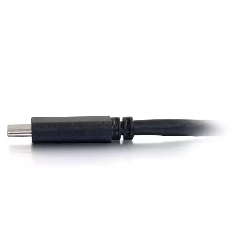 C2G USB-C į DisplayPort adapterio laidas 4K 30Hz 1,8m juodas