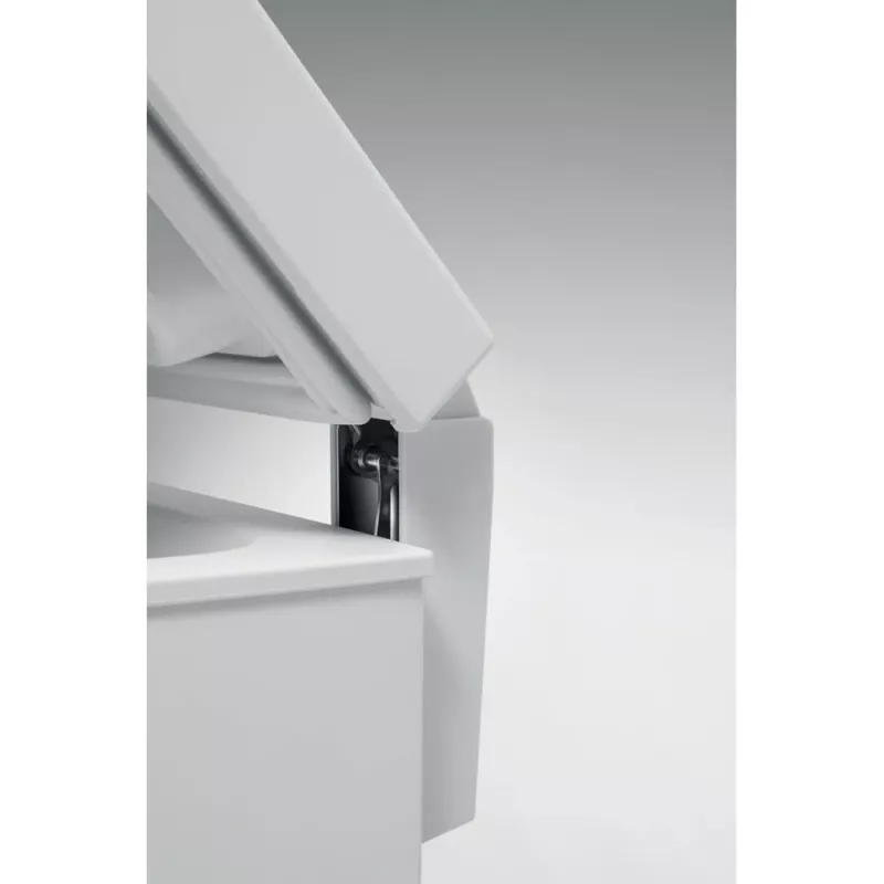 Šaldymo skrynia Whirlpool WH1410 E2 2 132 L balta