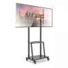 Techly grindinis stovas su lentyna 32-70 colių LCD/LED/Plazminiams televizoriams