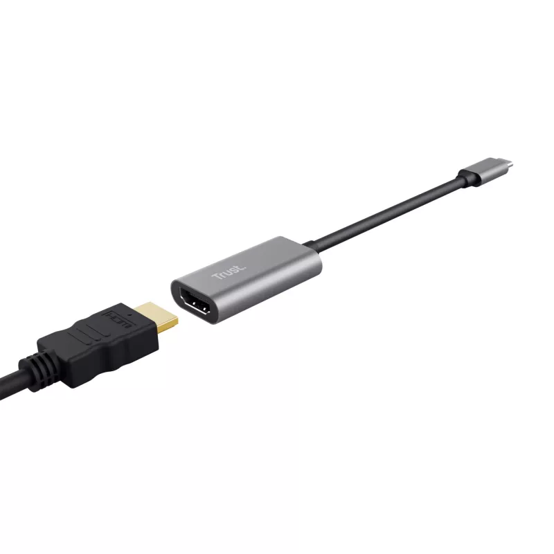 Trust Dalyx USB-C į HDMI adapteris, pilka