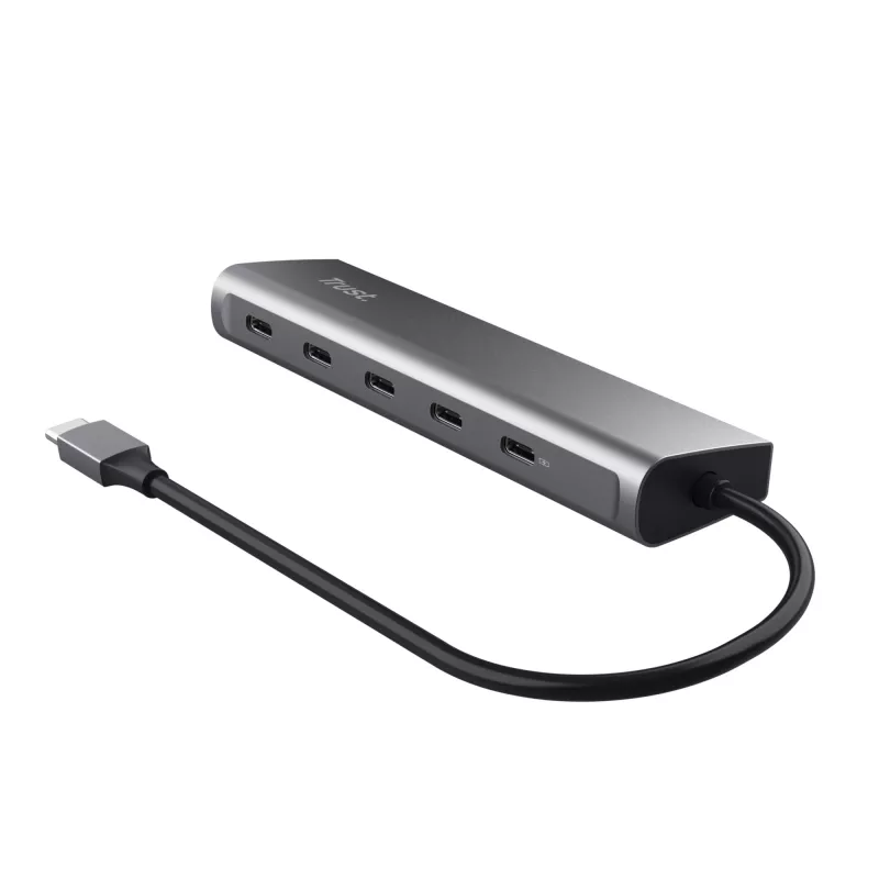 Trust Halyx USB 3.2 Gen 1 (3.1 Gen 1) Type-C sidabrinis USB-C stotelė