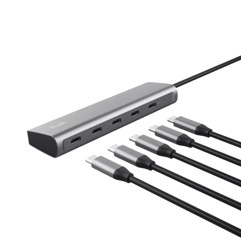 Trust Halyx USB 3.2 Gen 1 (3.1 Gen 1) Type-C sidabrinis USB-C stotelė
