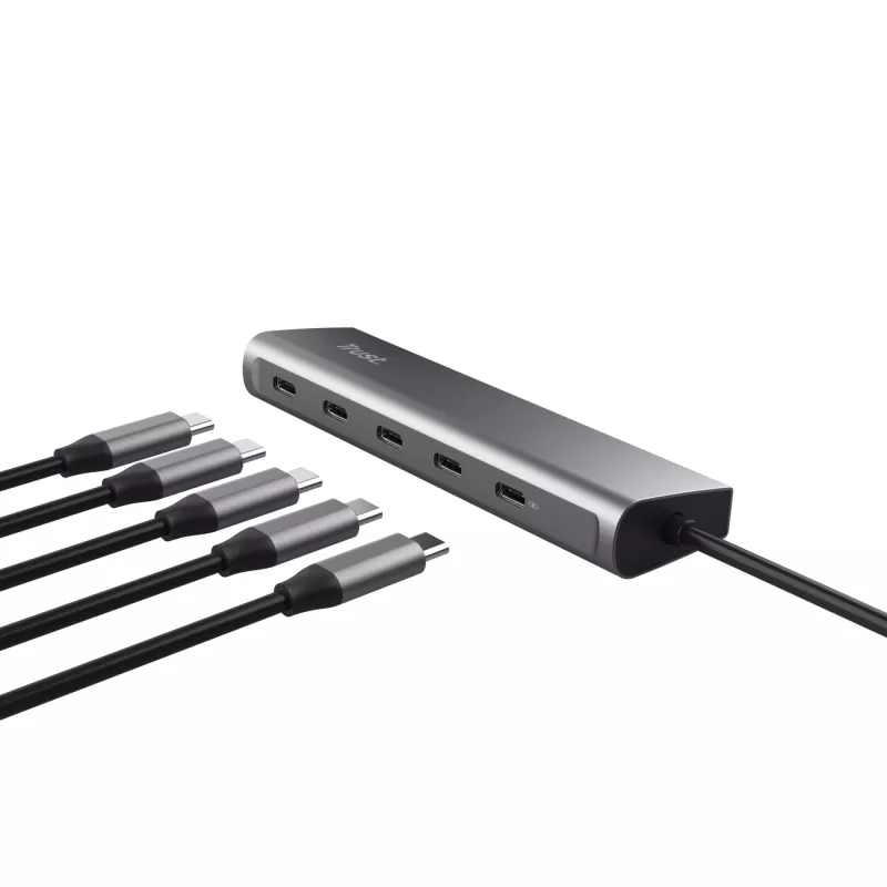 Trust Halyx USB 3.2 Gen 1 (3.1 Gen 1) Type-C sidabrinis USB-C stotelė