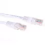 ACT White 3 metrų U/UTP CAT6 šuoliukas su RJ-45 jungtimis