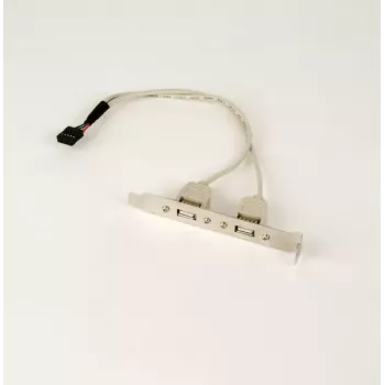 Gembird CCUSBRECEPTACLE vidinis USB 2.0 adapteris su dviem lizdais