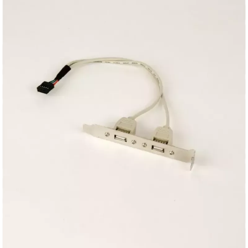 Gembird CCUSBRECEPTACLE vidinis USB 2.0 adapteris su dviem lizdais